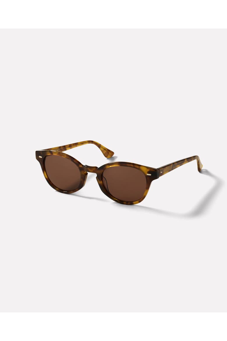 Coil Sunglasses, Main, color, Light Tortoise