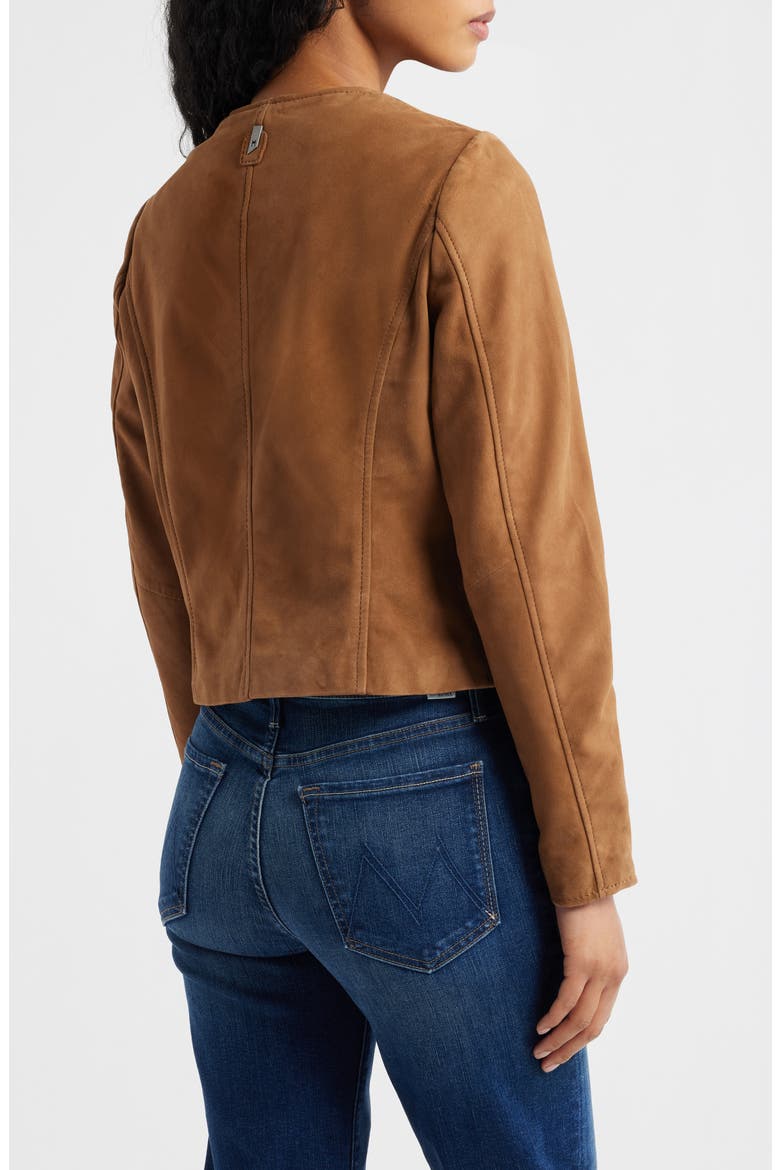 Quynn Suede Jacket, Alternate, color, DARK CAMEL