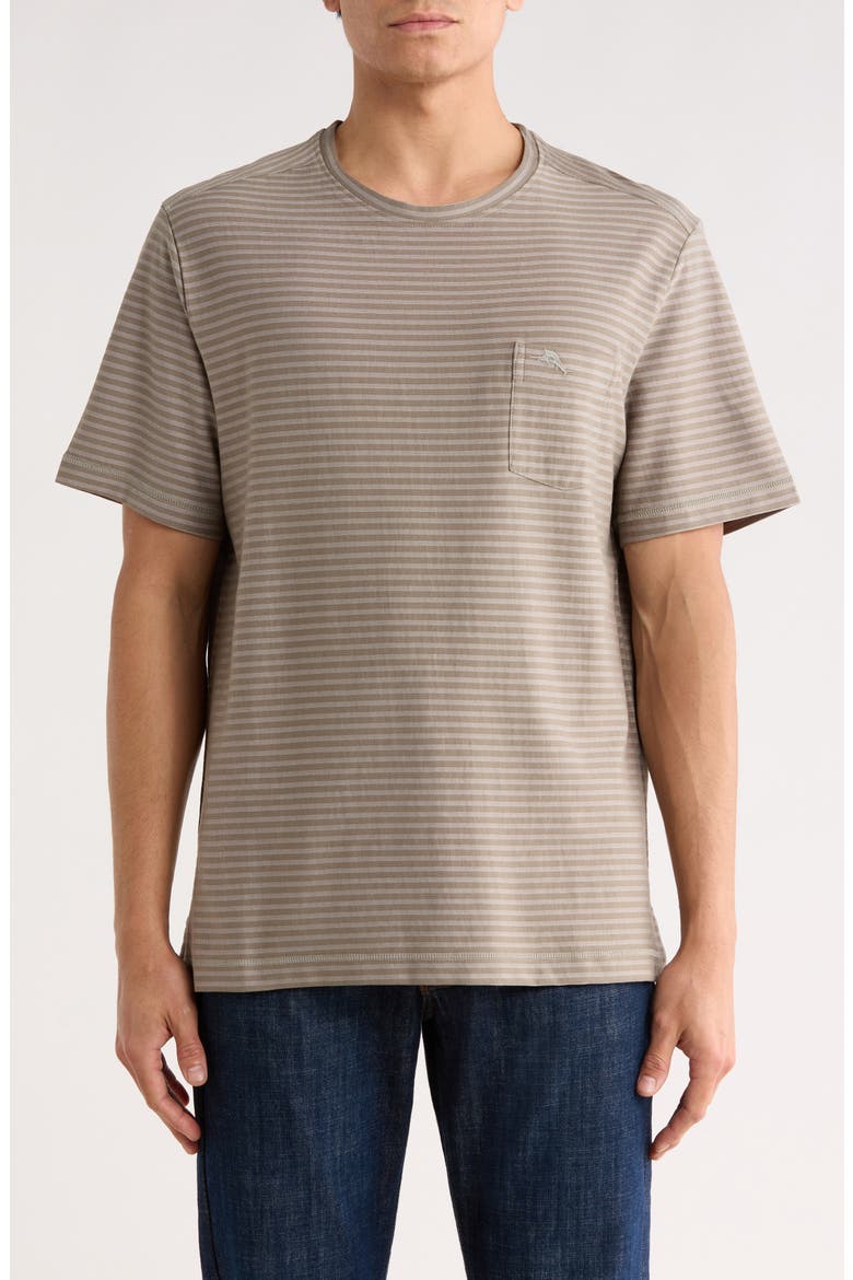 Long Shores Striped T-Shirt, Main, color, GARDEN GATE
