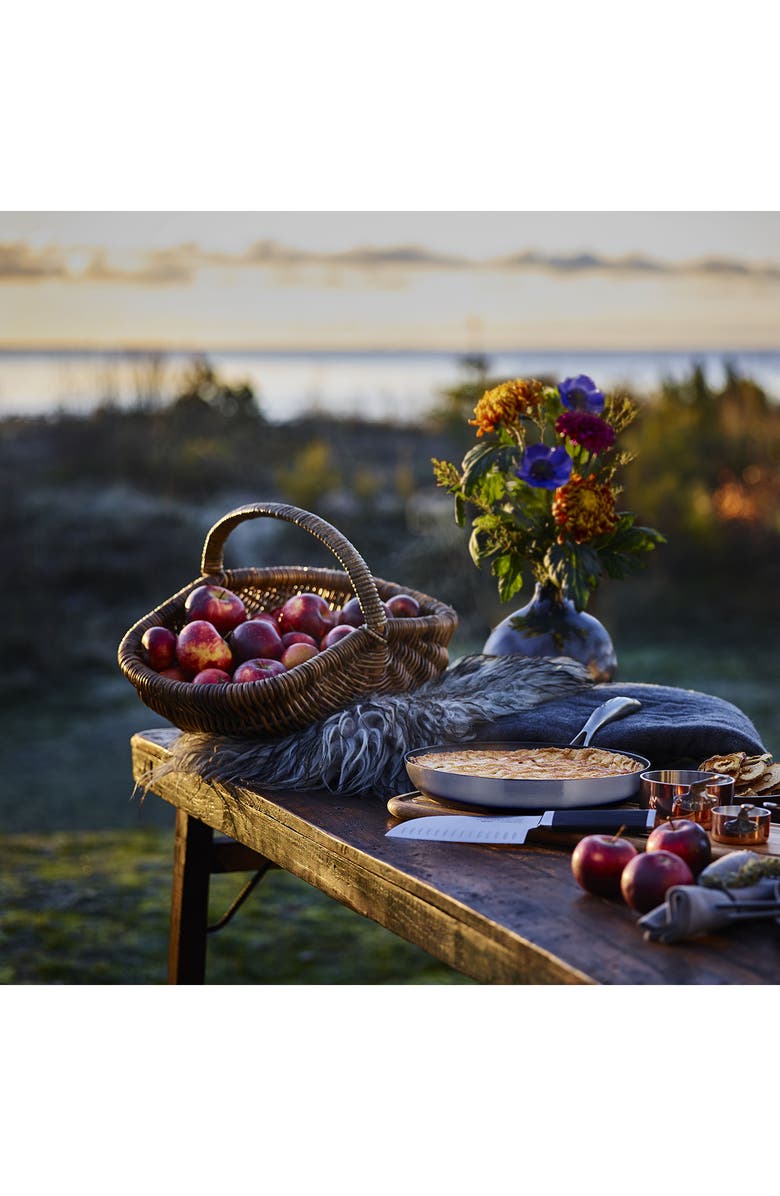 Scanpan CS+ 12.5-Inch Nonstick Fry Pan, Alternate, color, Silver