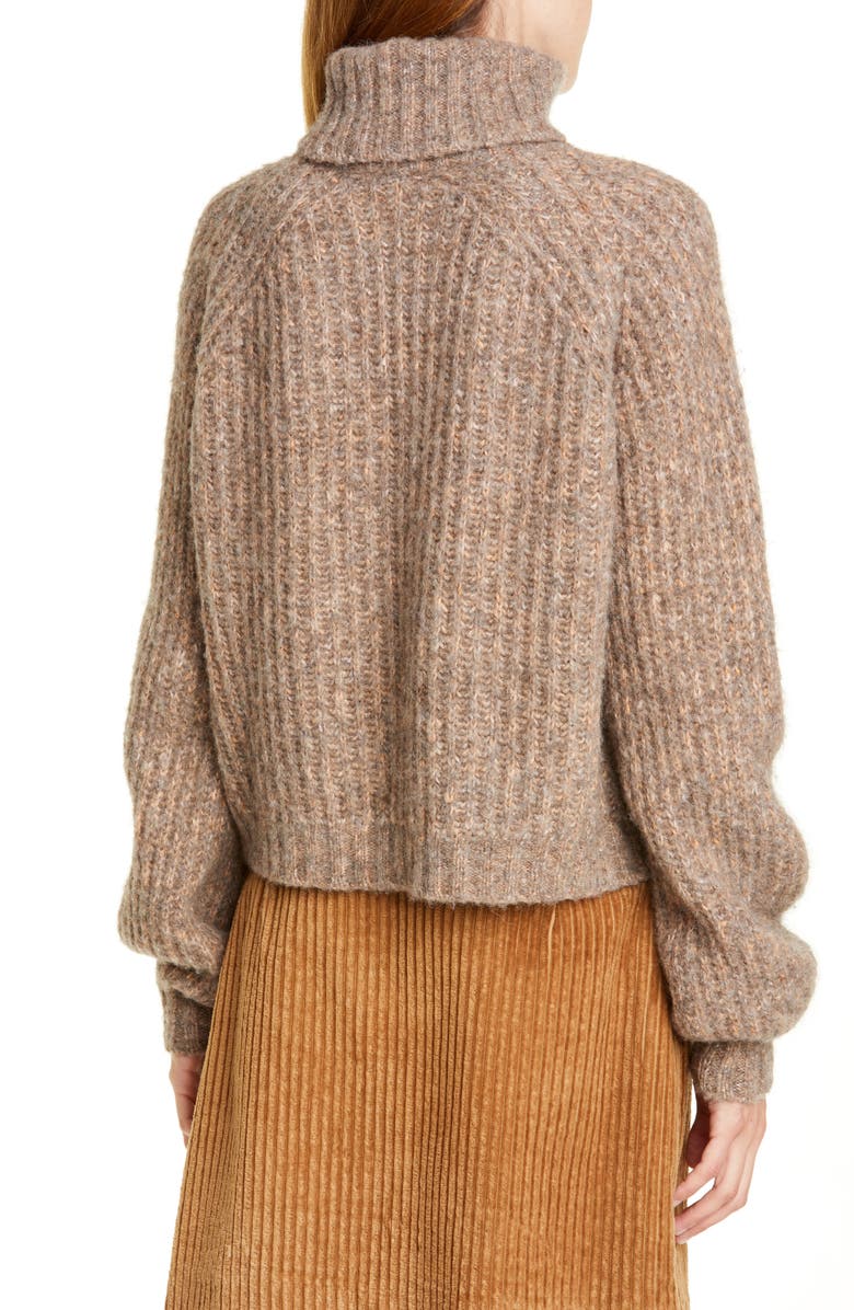 Baum und Pferdgarten Collins Turtleneck Sweater, Alternate, color, 