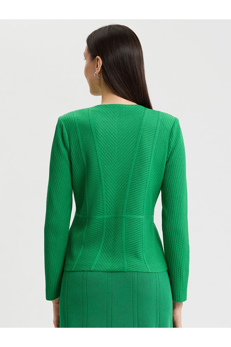 Tailored Tonal Princess Seam Knit Jacket, Alternate, color, Clover Field