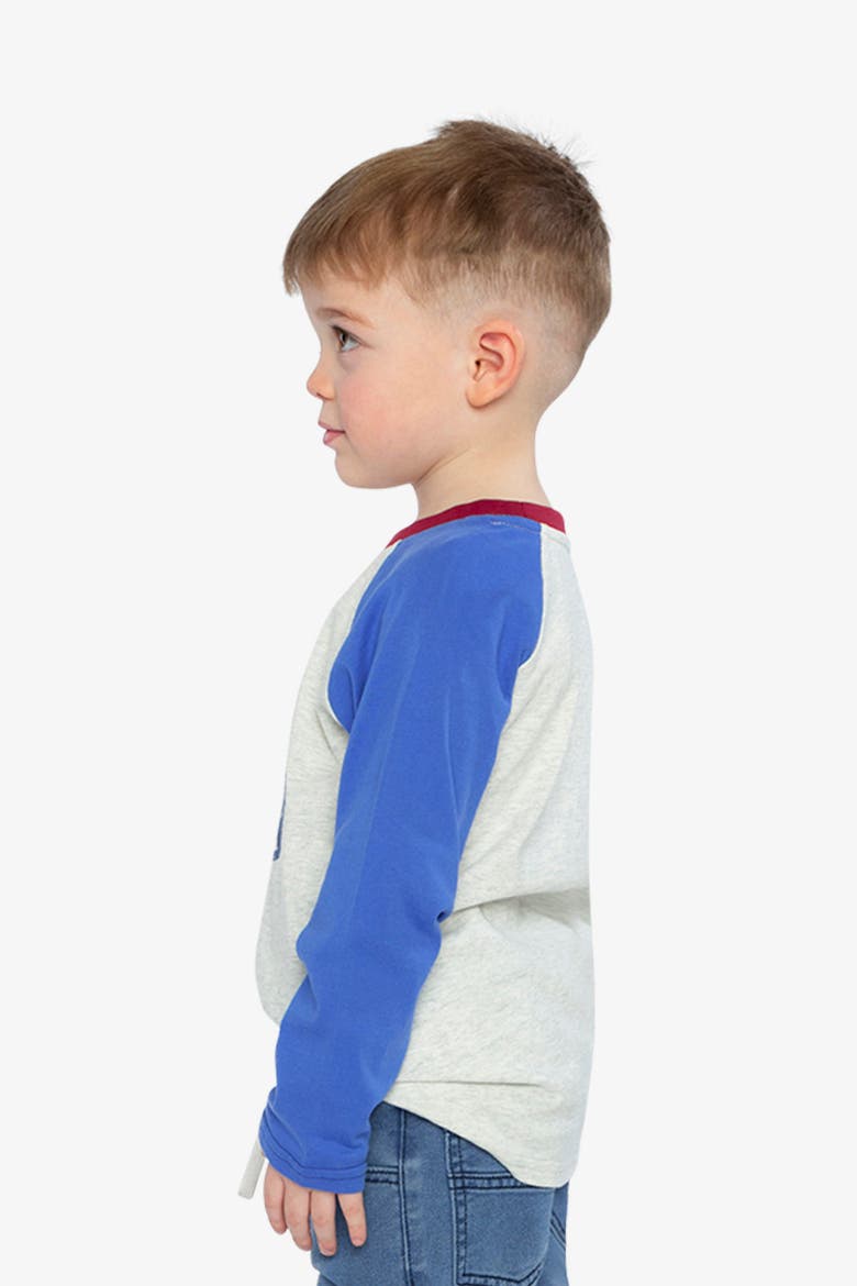 Ribbed Crew Neck Raglan Sleeves T-Shirt, Alternate, color, Heather Grey, Red and Blue