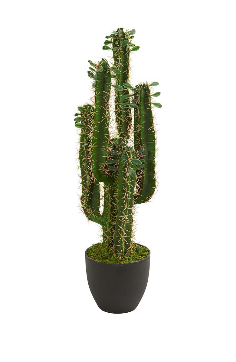 NEARLY NATURAL 2.5ft. Cactus Artificial Plant, Main, color, 