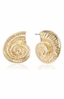 Conch Stud Earrings