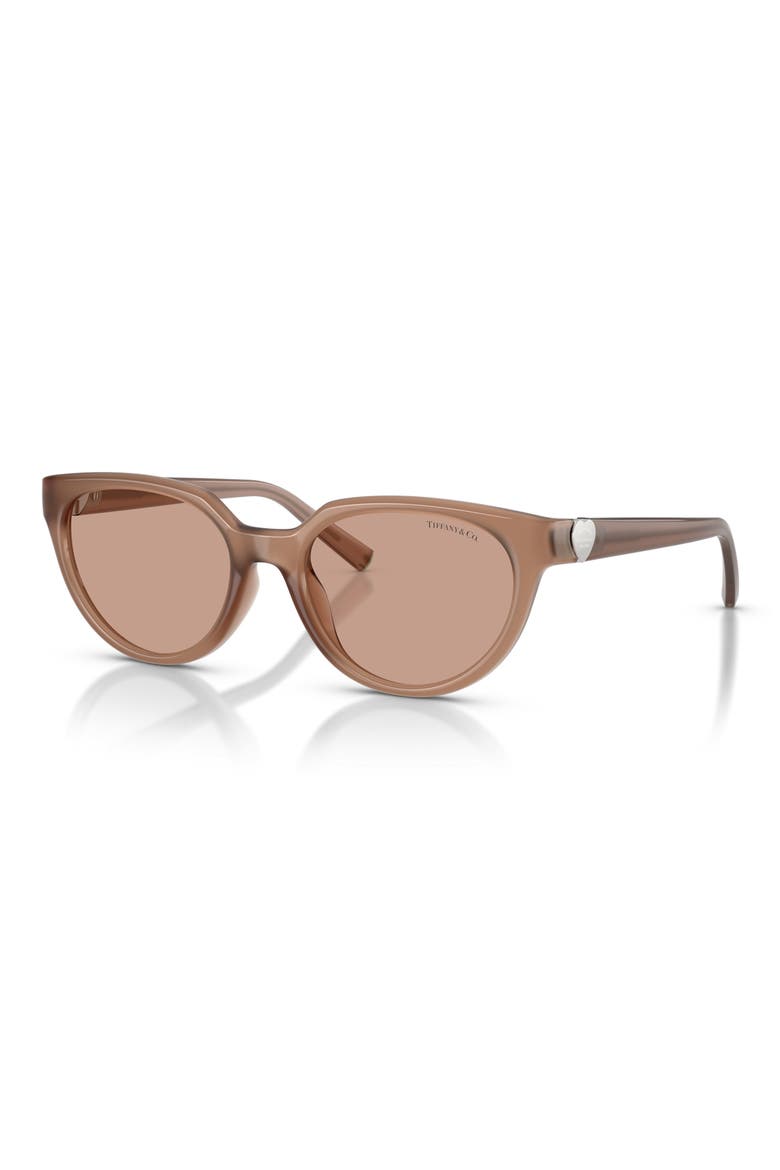 55mm Gradient Cat Eye Sunglasses, Alternate, color, COCA COLA SAPPHIRE / BROWN