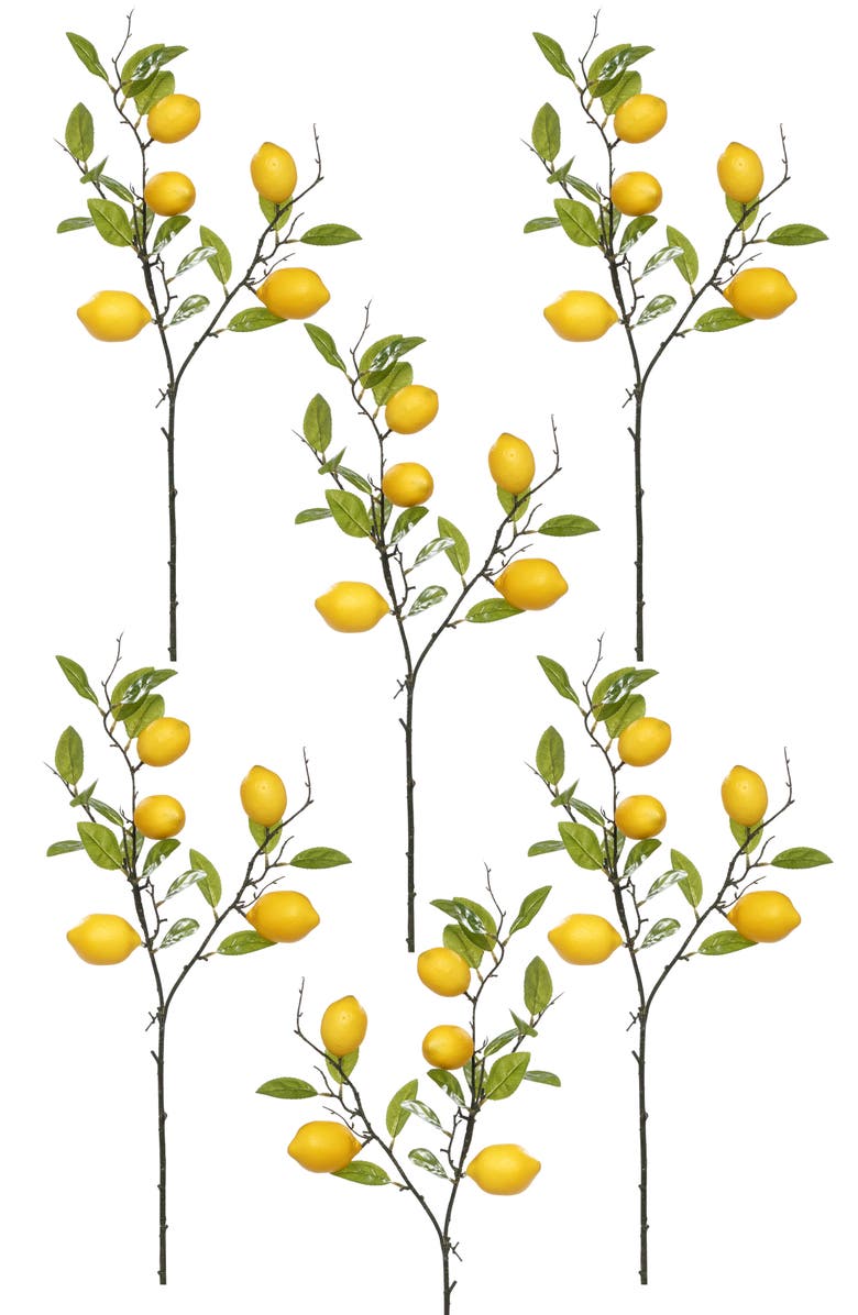 Mark Roberts Lemon Spray, Box of 6, Main, color, Yellow