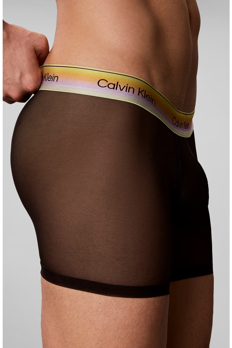 Pride Sheer Mesh Boxer Briefs, Alternate, color, BLACK