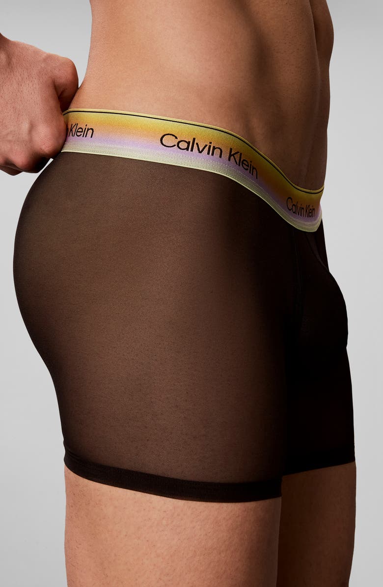 Calvin Klein Pride Sheer Mesh Boxer Briefs, Alternate, color, Black