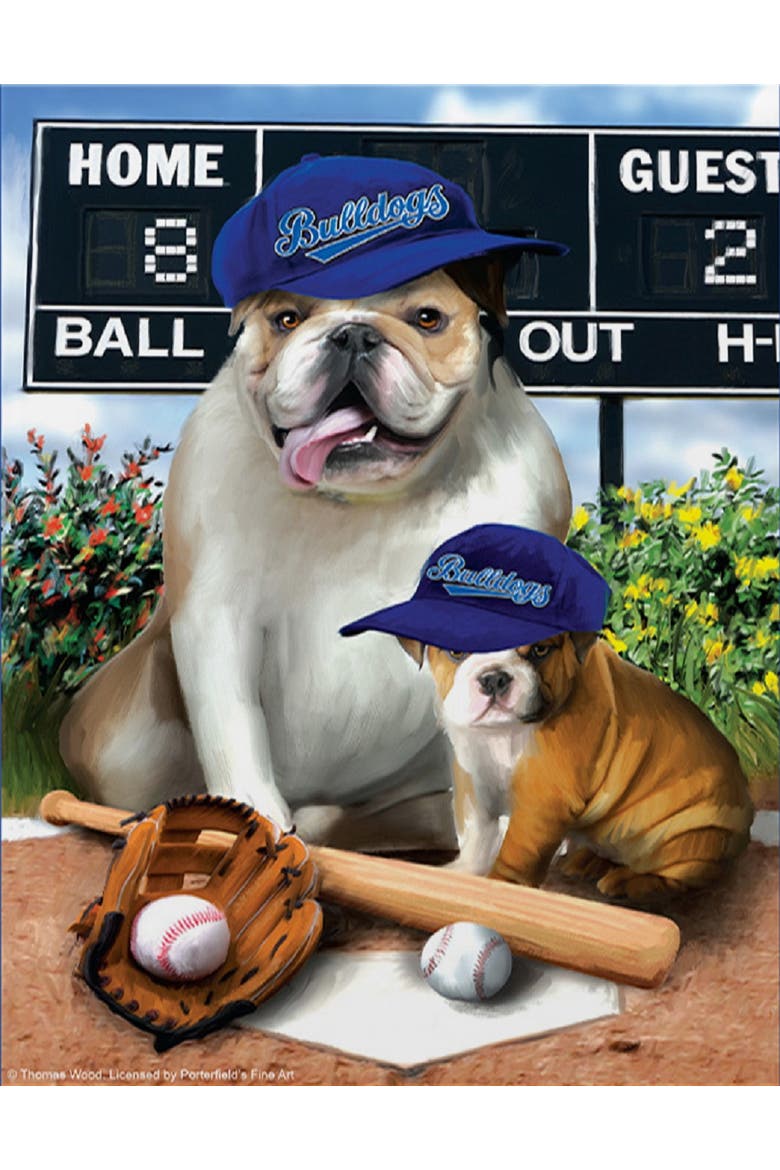 Play Ball 300 piece Jigsaw Puzzle for Adults, Alternate, color, Multicolor