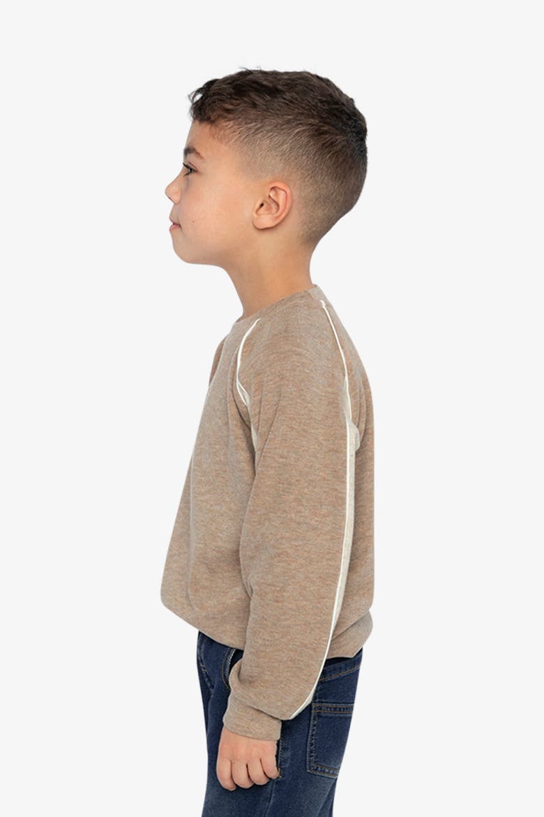 Brushed Jersey Raglan Sleeve Crew Neck Top, Alternate, color, Taupe
