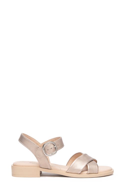 Nerogiardini Ankle Strap Sandal In Gold