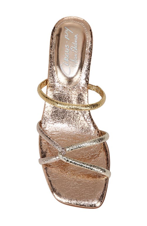 CIRCUS NY BY SAM EDELMAN CIRCUS NY BY SAM EDELMAN FAYE STRAPPY SANDAL