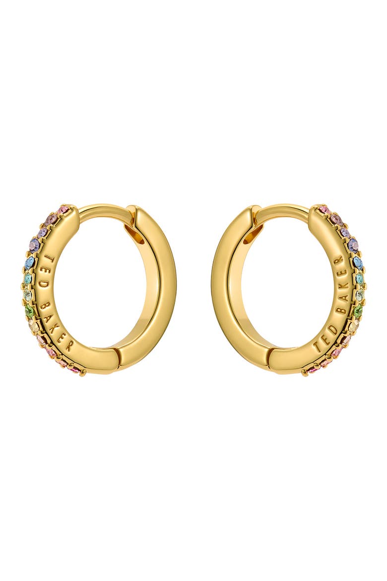 Heplie Pavé Hoop Earrings, Main, color, GOLD TONE/ RAINBOW CRYSTAL