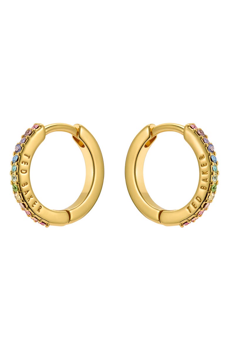 Ted Baker Heplie Pavé Hoop Earrings, Main, color, Gold Tone/ Rainbow Crystal