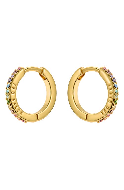 Ted Baker Heplie Pavé Hoop Earrings In Gold Tone/rainbow Crystal