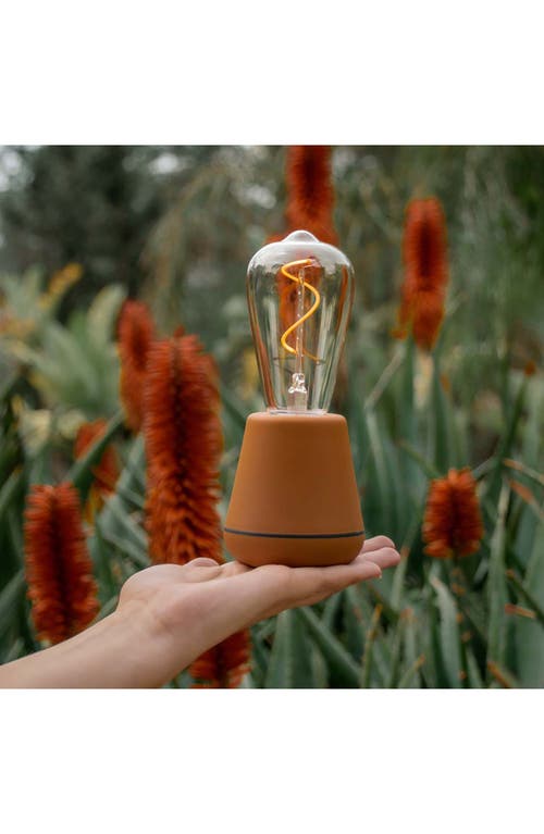 Ameico Humble One Wireless Table Lamp In Brown