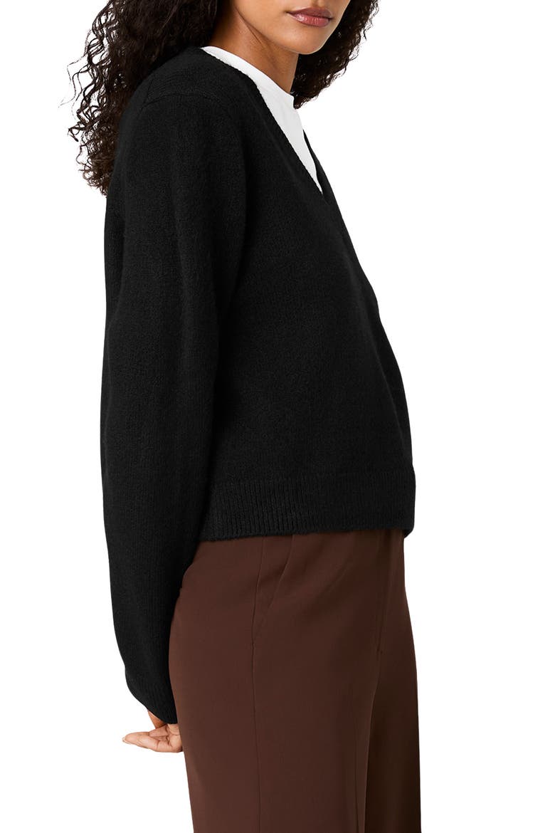 Suzie V-Neck Sweater, Alternate, color, BLACK