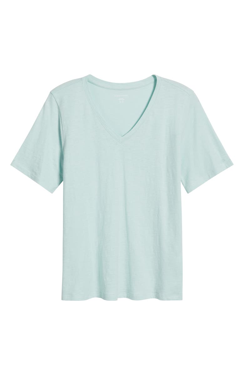 Eileen Fisher Easy V-Neck Organic Cotton T-Shirt, Main, color, 