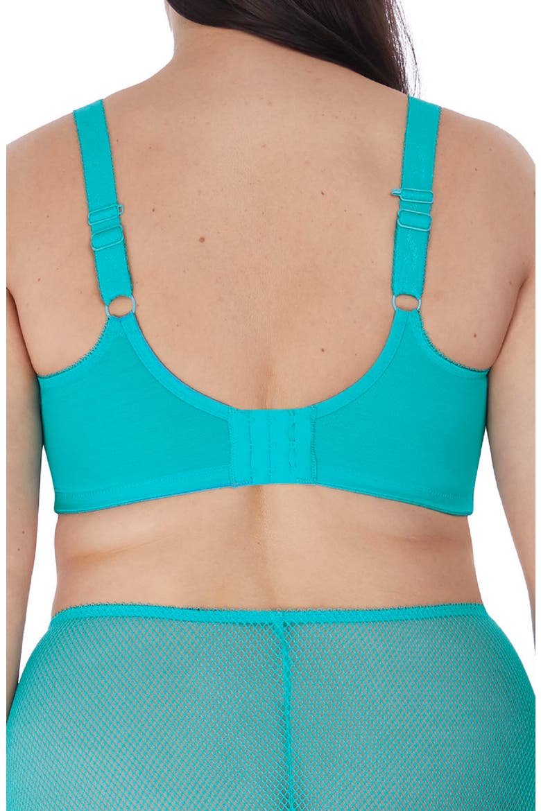 Charley Full Figure Underwire Plunge Bra, Alternate, color, TAHITI
