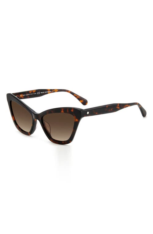 Kate Spade New York Amelie 54mm Gradient Cat Eye Sunglasses In Brown