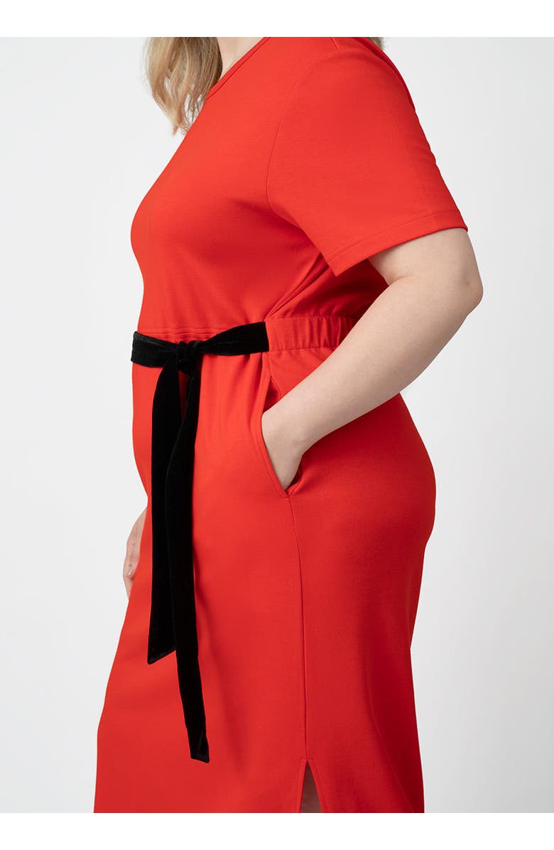 SEE ROSE GO CoolROSE Luxe Midi Plus Size Dress with Velvet Tie, Alternate, color, Poppy