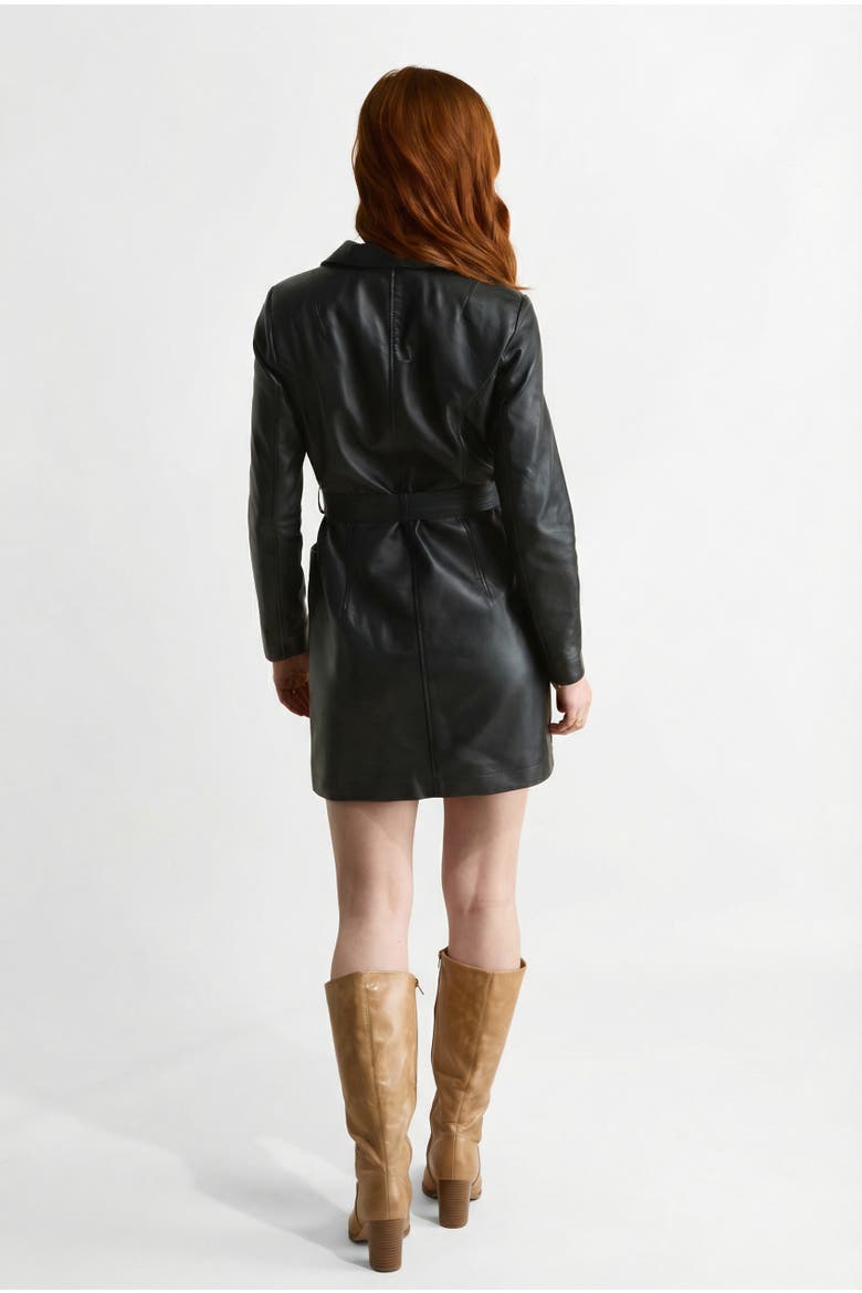 Daphne Leather Dress, Alternate, color, Black