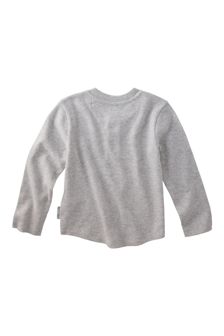 Payton Assorted 5-Pack Long Sleeve Organic Cotton Waffle Henley T-Shirts, Alternate, color, STONE