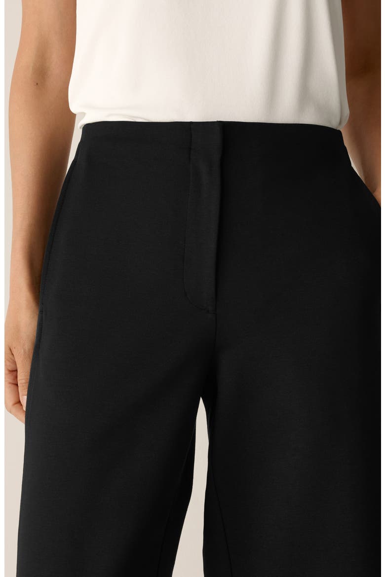 Wide Leg Ankle Pants, Alternate, color, BLACK