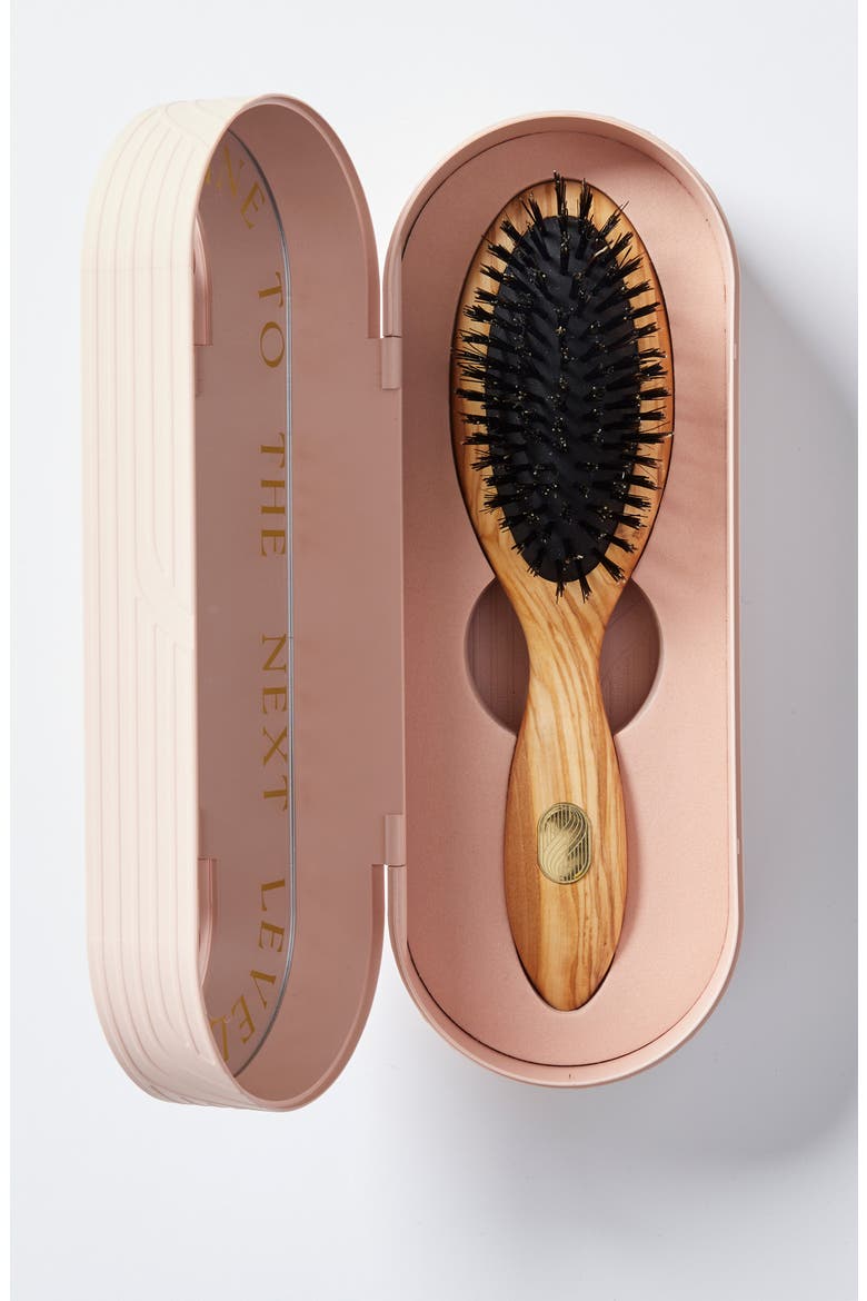 BEAUTE Petite Repair & Shine Brush for Thick or Curly Hair, Alternate, color, NO COLOR