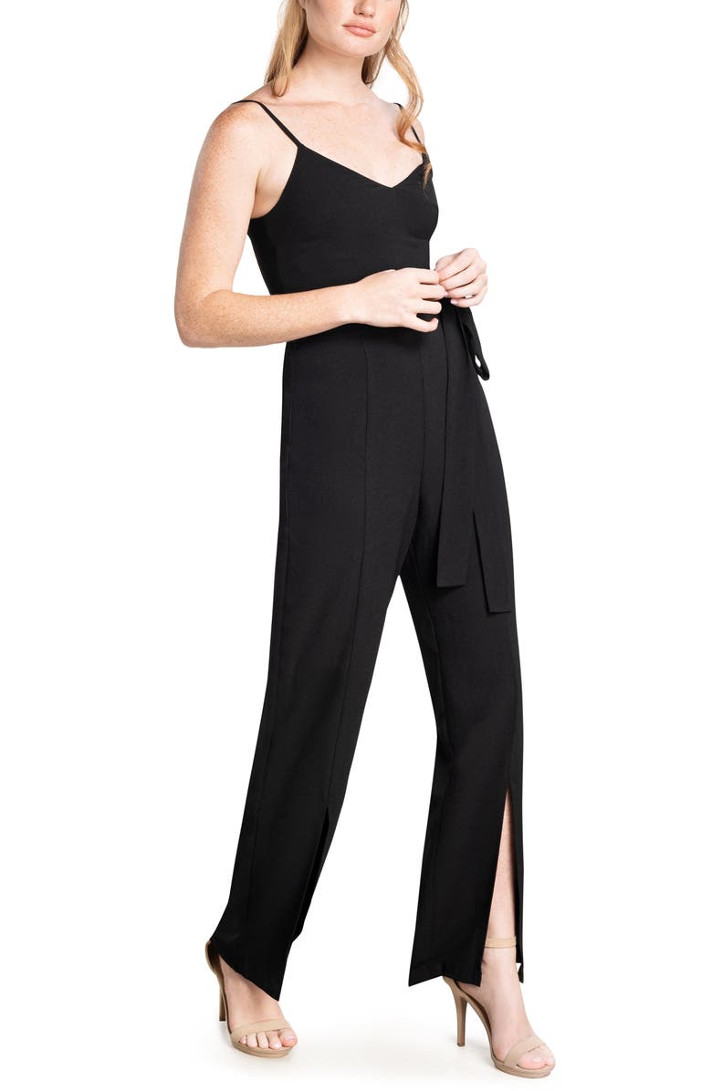 Dress the Population Stevie Jumpsuit, Main, color, 