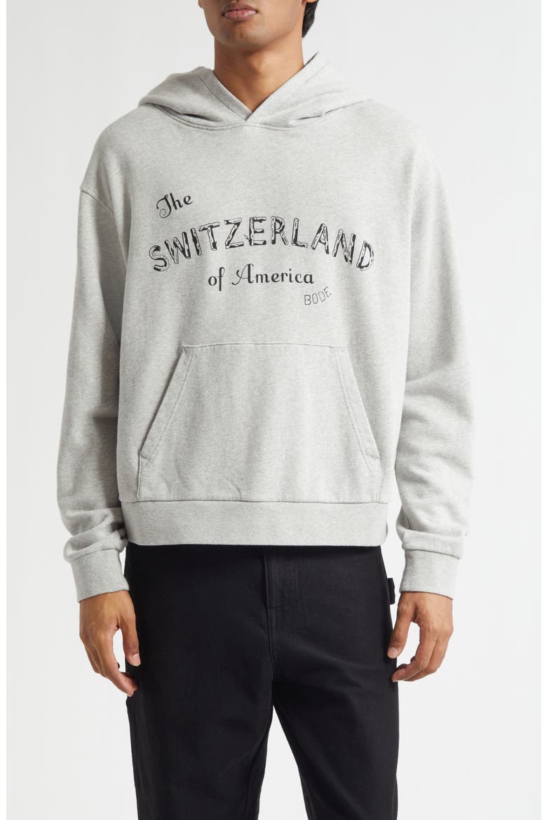 Campground Cotton Graphic Hoodie, Main, color, GREY