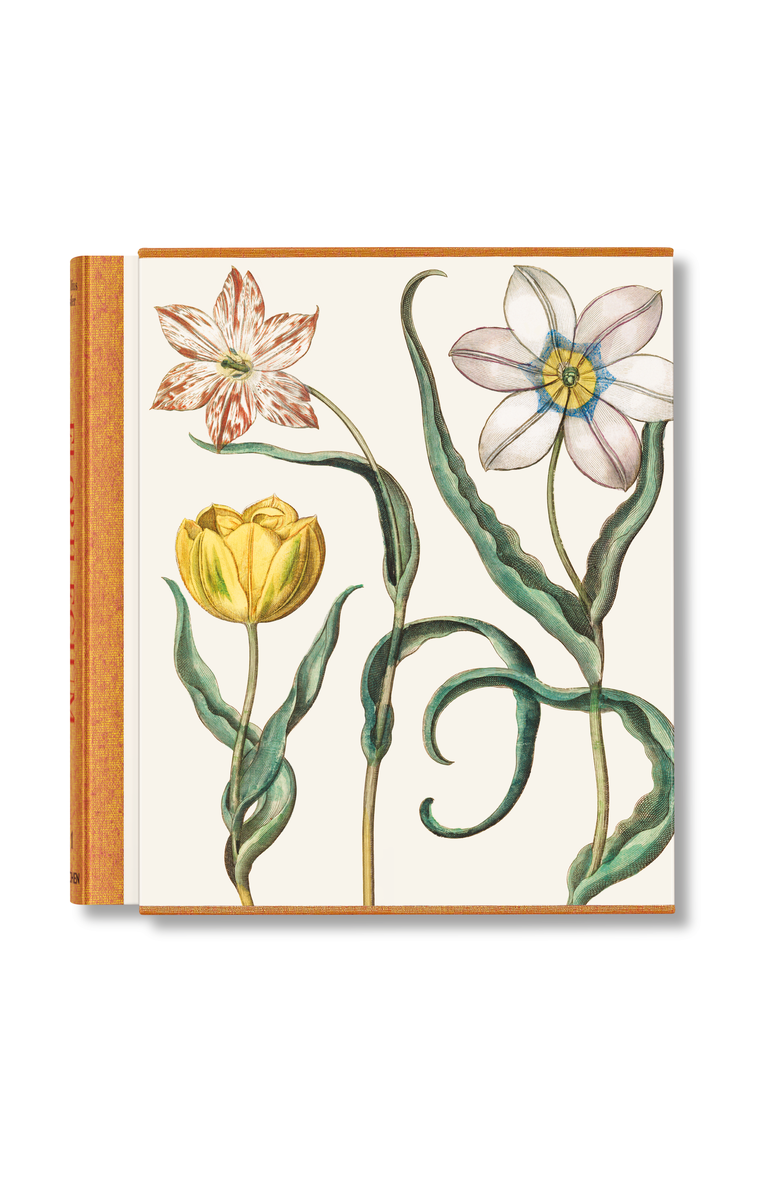Taschen Besler. The Garden at Eichstätt, Main, color, Multicolor