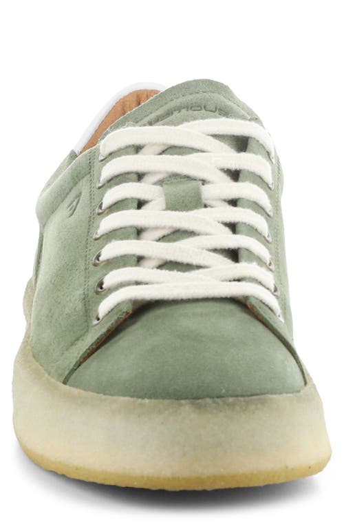 AMBITIOUS AMBITIOUS 13410 LOW TOP SNEAKER