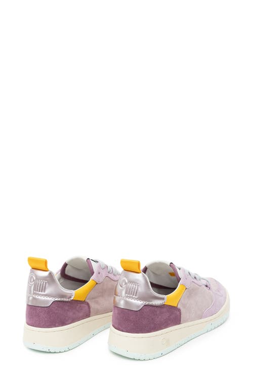 Oncept Phoenix Leather Lace-up Sneaker In Multi
