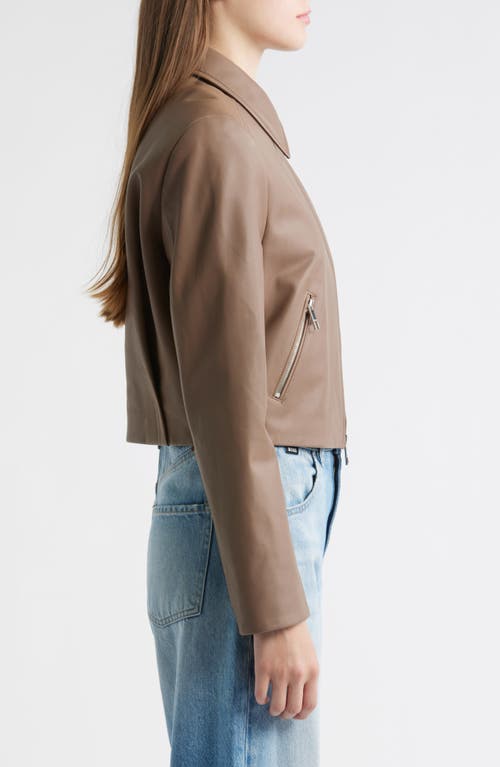Hugo Boss Boss Salerena Lambskin Leather Jacket In Brown