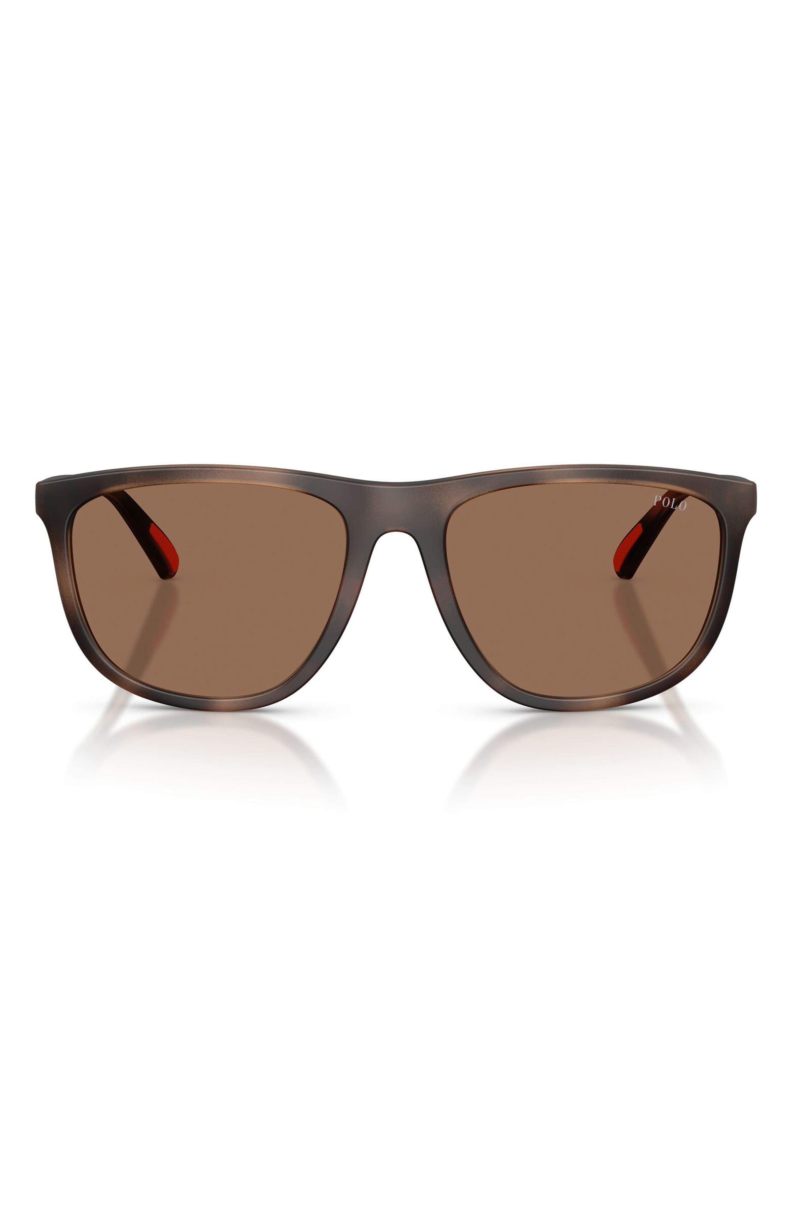 MATTE DARK HAVANA / DARK BROWN