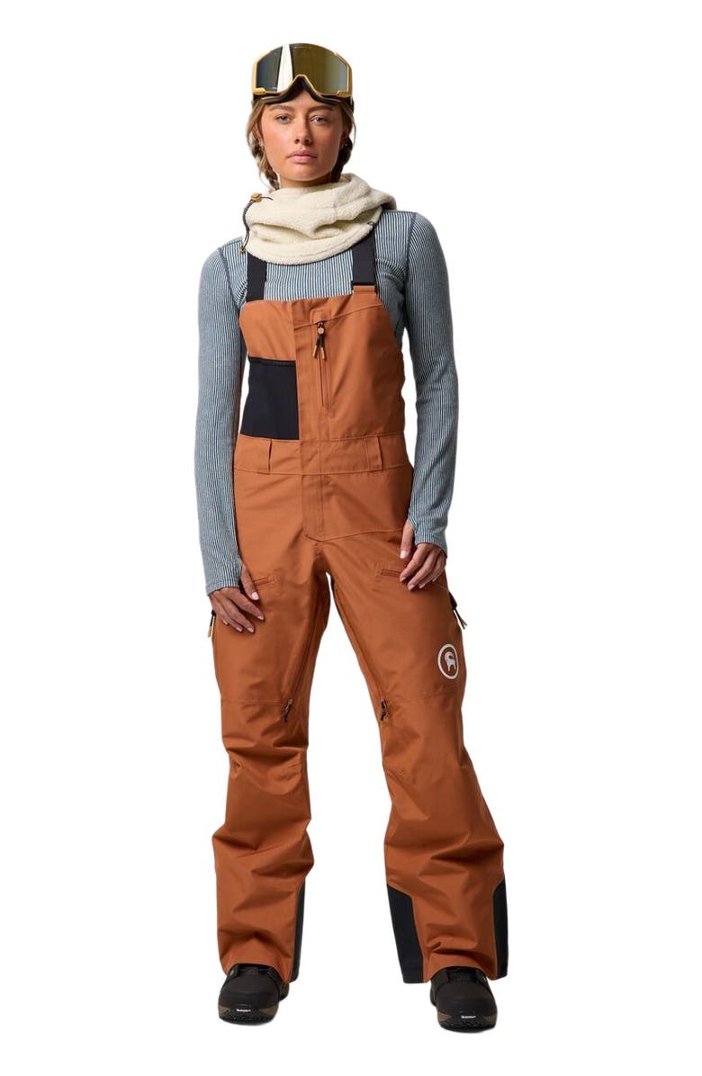 Backcountry Cottonwoods Gore-Tex Shell Bib Pant - Women's, Main, color, Sierra