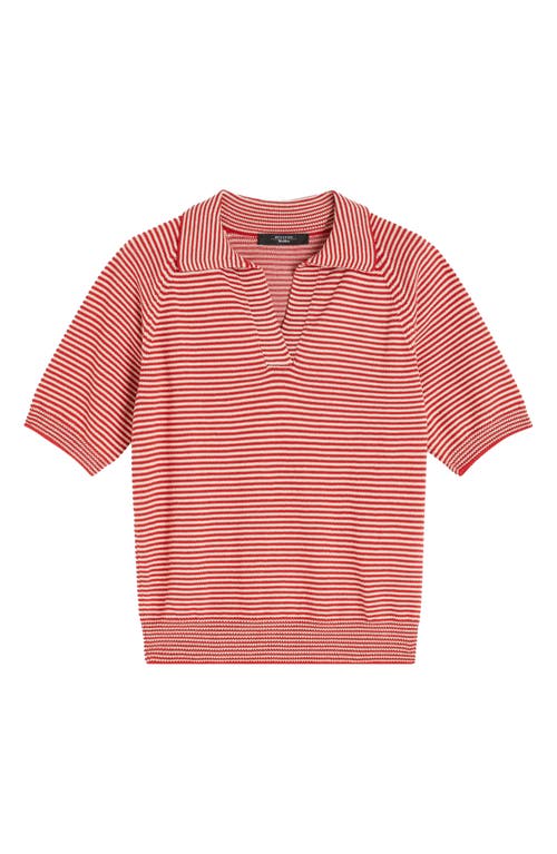 Weekend Max Mara Cotton Stripe Open Polo Shirt In Red