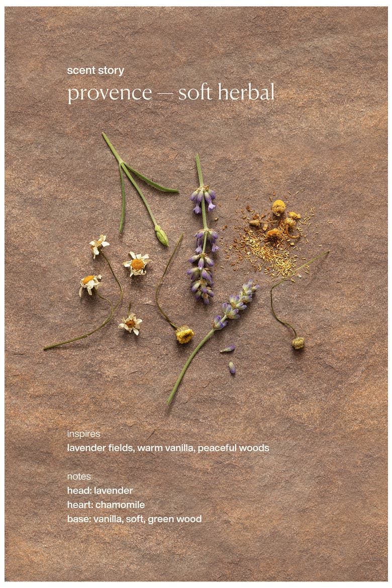 Nutrient-Rich Body Cream, Alternate, color, PROVENCE