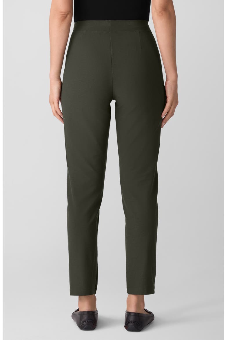 Slim Ankle Pants, Alternate, color, WDLND