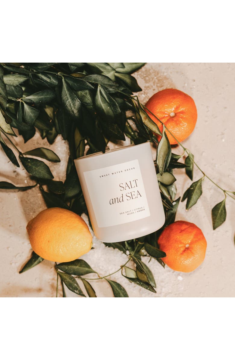 SWEET WATER DECOR 15oz Matte Jar Candle - Spa Scents, Alternate, color, Mango & Coconut