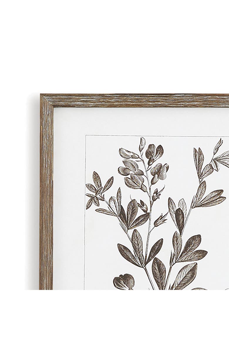 Napa Home & Garden Rustic Foliage Study Set of 9, Alternate, color, 