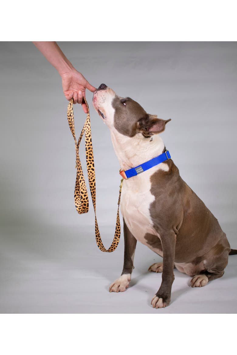 Leopard Print Dog Leash, Alternate, color, Leopard - Standard