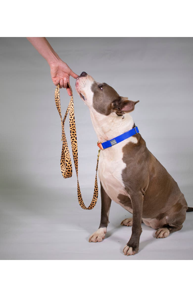 Major Darling Leopard Print Dog Leash, Alternate, color, Leopard - Xs