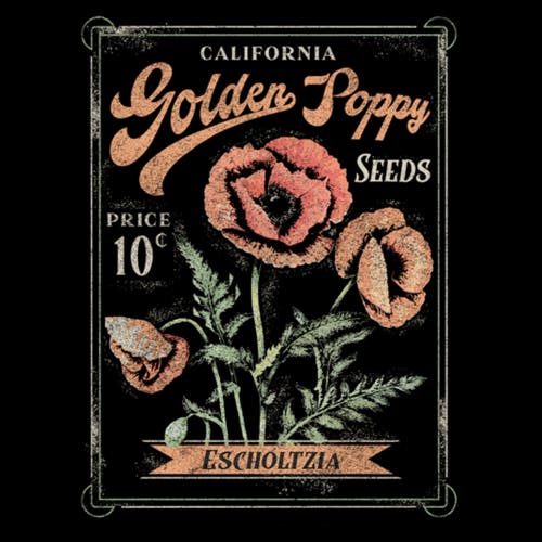 Lost Gods Poppy Seeds Packet  Graphic T-shirt In Black