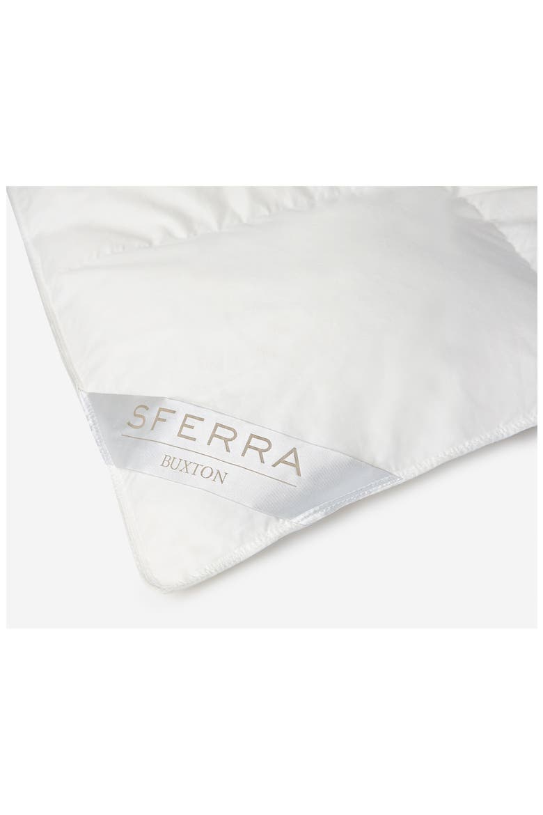 Buxton King Down Duvet Insert, Alternate, color, WHITE