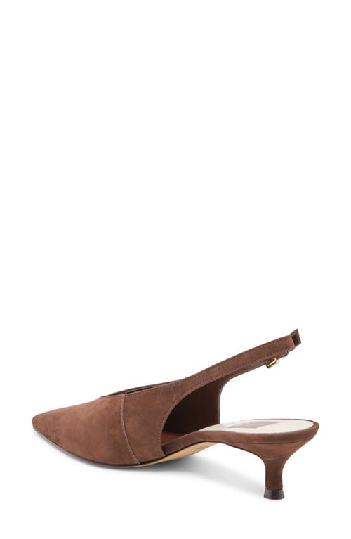 Dolce Vita Alenna Slingback Pointed Toe Kitten Heel Pump In Brown