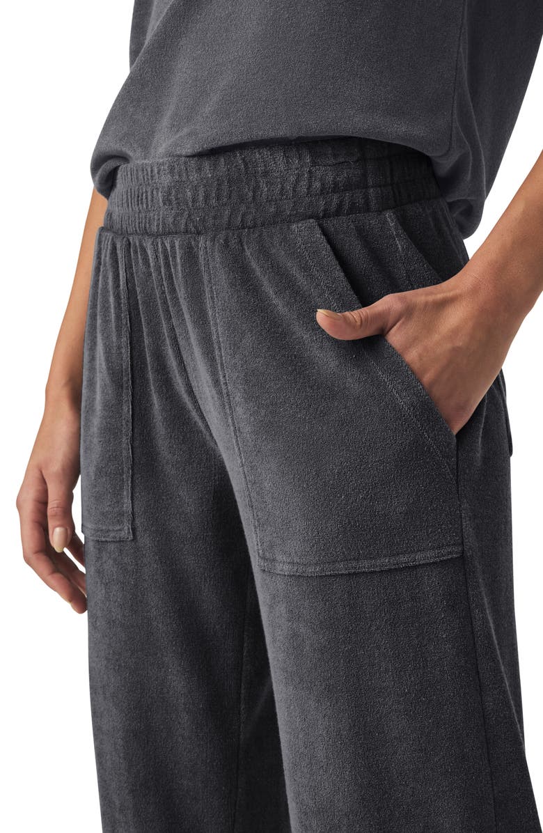 Splendid Taryn Terry Crop Pants, Alternate, color, Ink