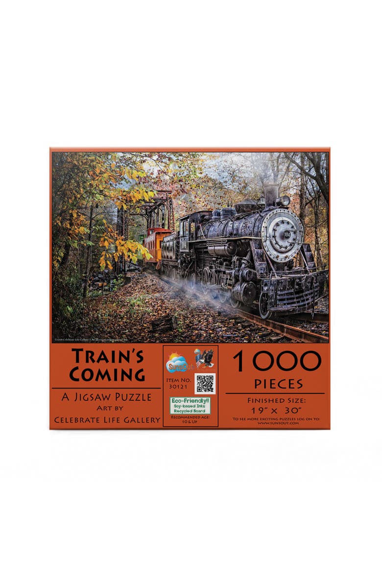 Sunsout Train's Coming 1000 piece Jigsaw Puzzle for Adults, Alternate, color, Multicolor